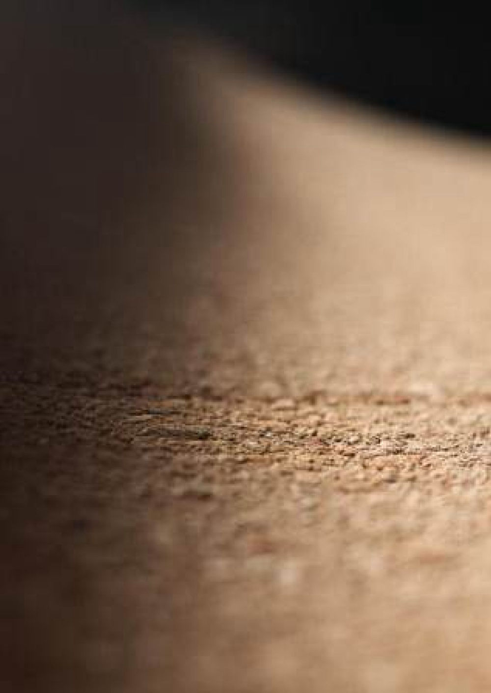 Low close-up of a cork floor surface
