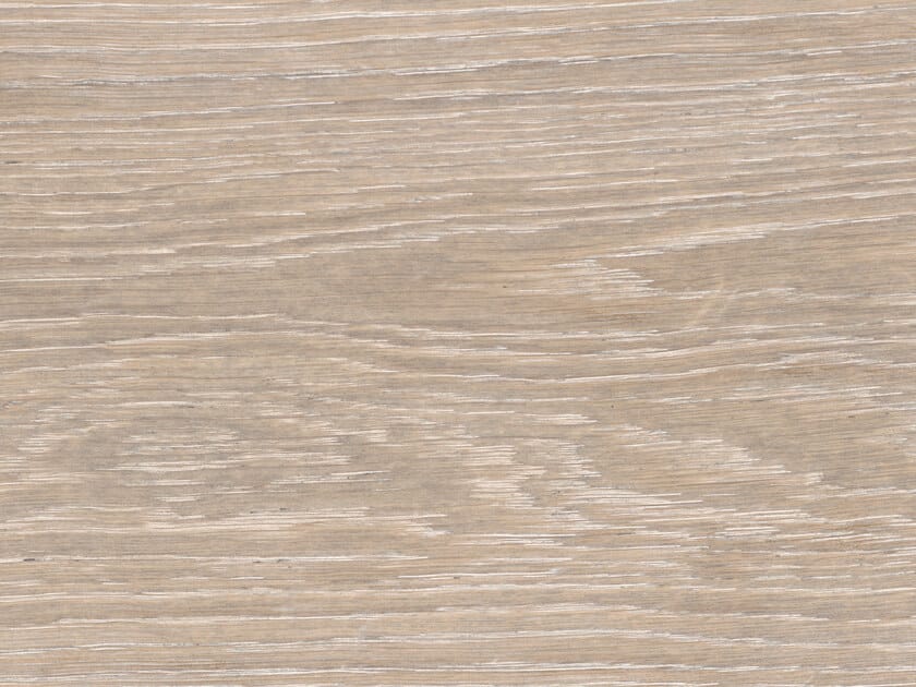 Designtrend Seashell cork product